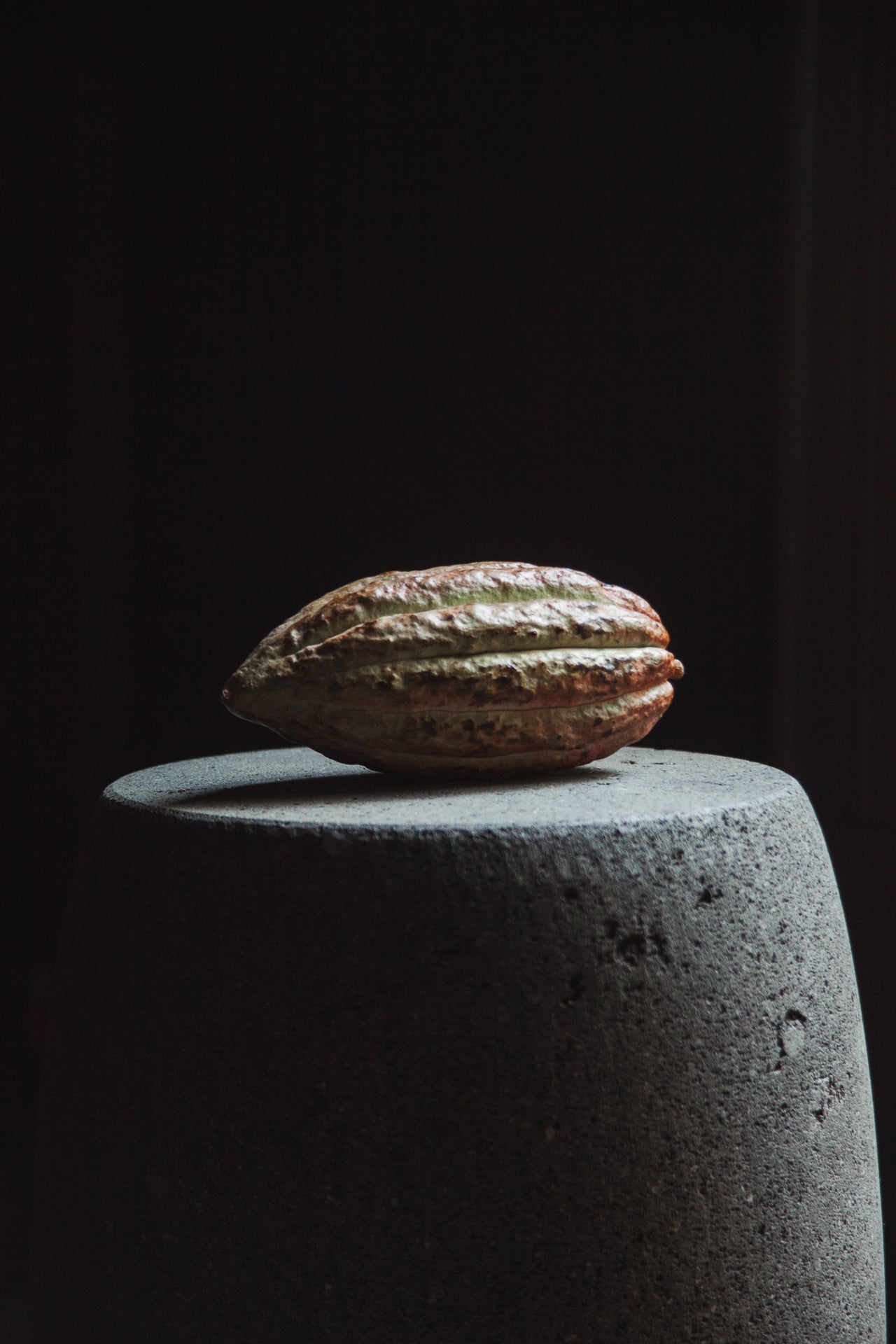 El Sabor del Cacao en la Cocina Mexicana