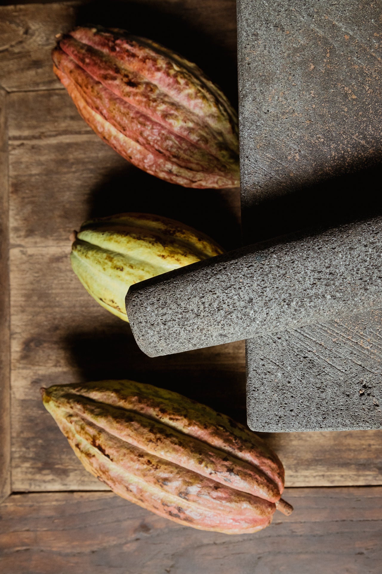 Theobroma Cacao: El Tesoro del Chocolate Mexicano