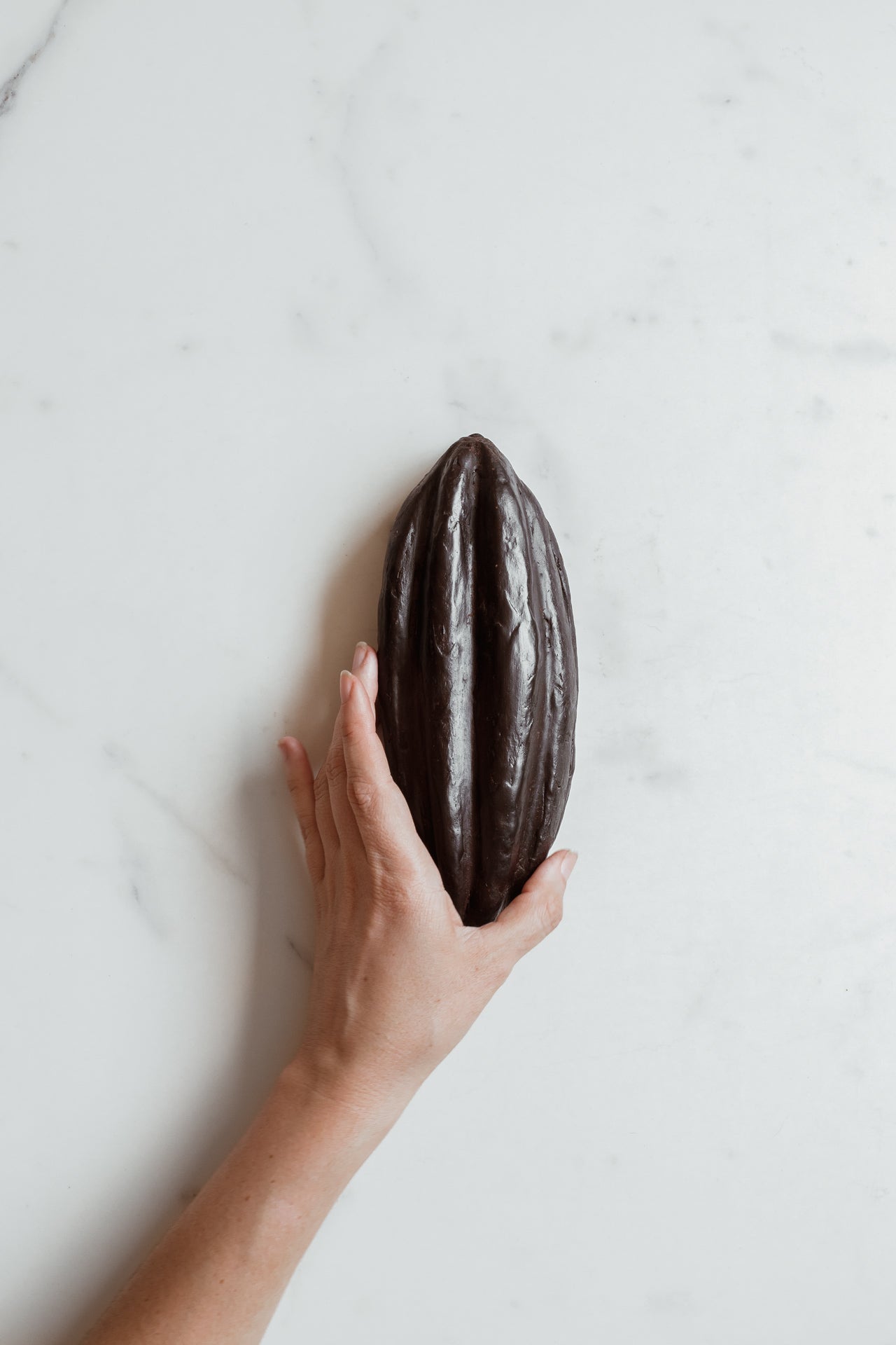 Mazorca de Cacao 480g - MaríaCacao