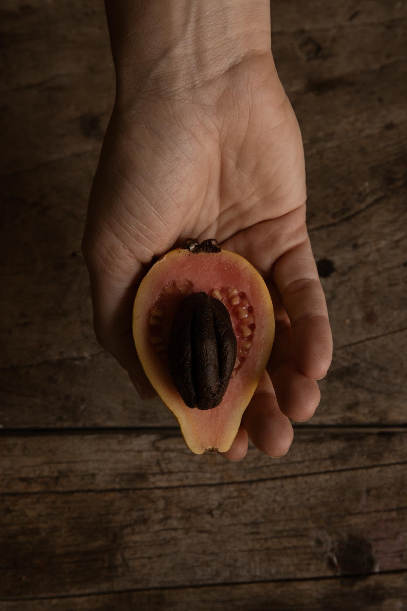 Mazorca de Cacao con Guayaba 12g - MaríaCacao