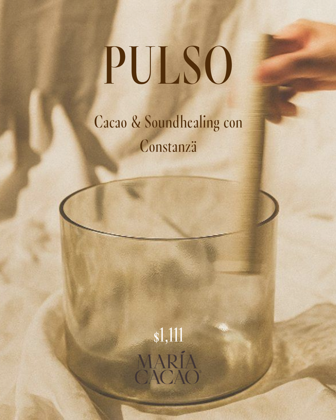 PULSO: Cacao + Sound Healing con Constanzä - MaríaCacao